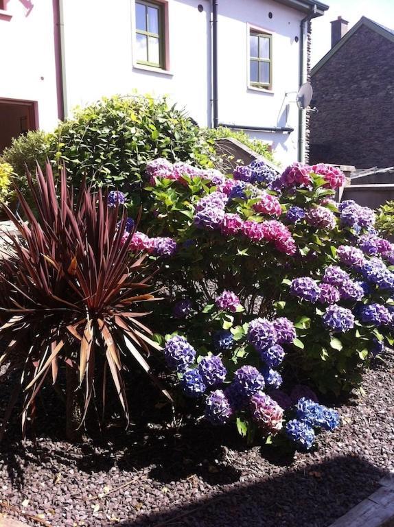 Villa Burnham View Dingle Esterno foto